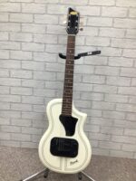 Supro Ozark 1261AW  2019 LTD Edition