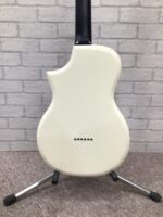 Supro Ozark 1261AW  2019 LTD Edition - Image 3