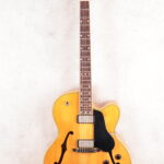 Hofner vice president