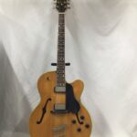 2003 Hofner vice President