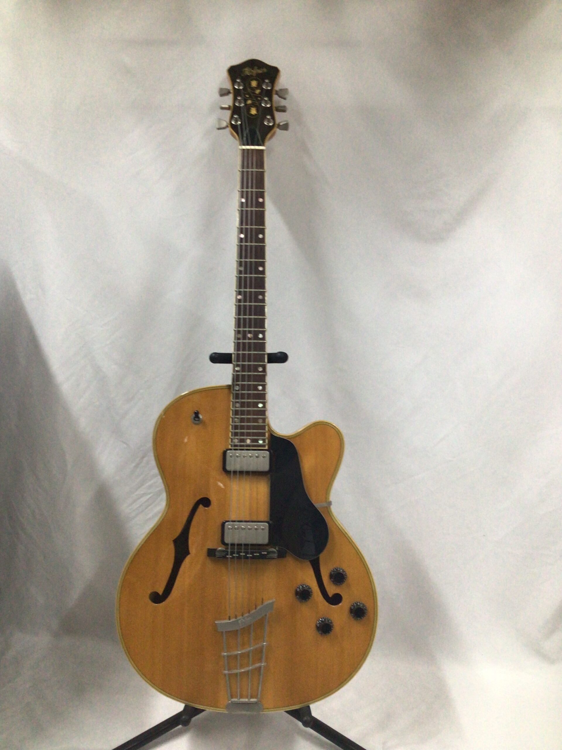IMG_0509 2003 Hofner vice President - Image 1