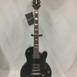 Guild Bluesbird 2022