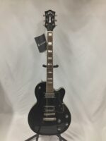 Guild Bluesbird 2022