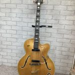 Hofner Thinline commitee 1960