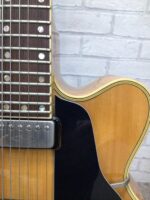 2003 Hofner vice President - Image 5