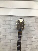 Epiphone Zephyr Regent 1953 - Image 8