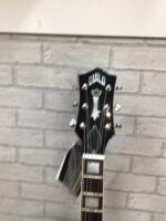 Guild Bluesbird 2022 - Image 8