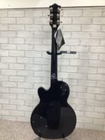 Guild Bluesbird 2022 - Image 9