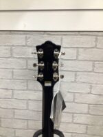 Guild Bluesbird 2022 - Image 11