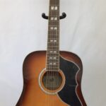 Eko Ranger 12 VR Honeyburst
