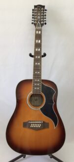 Eko Ranger 12 VR Honeyburst