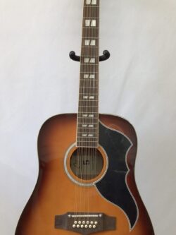 Eko Ranger 12 VR Honeyburst