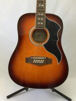 Eko Ranger 12 VR Honeyburst - Image 3