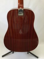 Eko Ranger 12 VR Honeyburst - Image 5