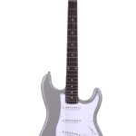 GOULD SANTA FE METALLIC INCA SILVER