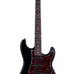 GOULD SANTA FE BLACK