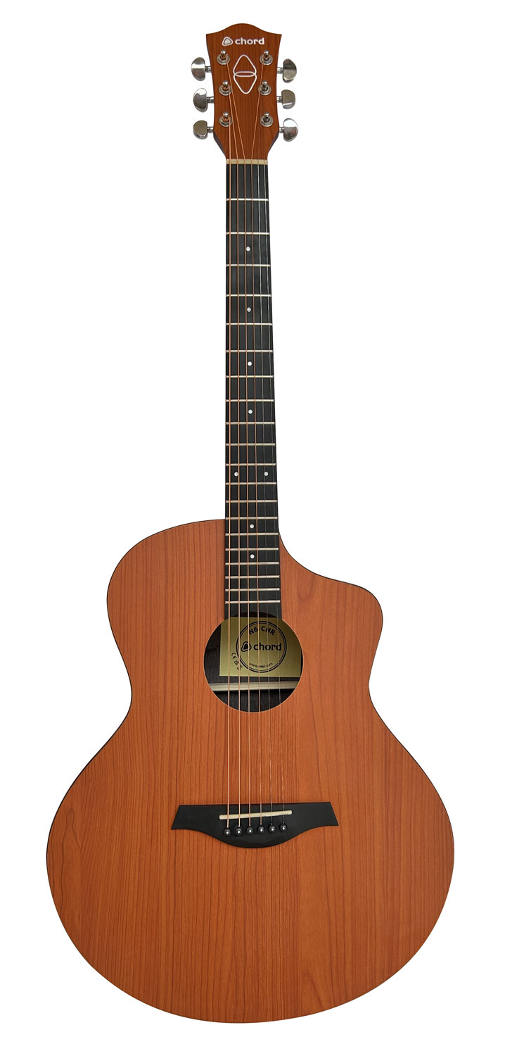 IMG_2109 These N6-CHR Chord Nomad Series Electro-Acoustic Guitars
