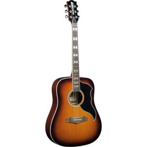 IMG_2338 EKO Ranger 6 VR EQ Honey Burst – Spruce Top - Image 1