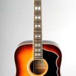 EKO Ranger 6 VR EQ Honey Burst – Spruce Top - Image 3