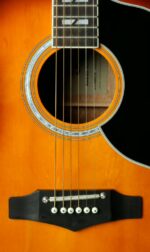 EKO Ranger 6 VR EQ Honey Burst – Spruce Top - Image 5