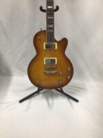 Guild bluesbird Ice Tea  2022 - Image 2