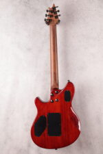 EVH WOLFGANG WG STANDARD EXOTIC - Image 5