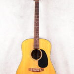 1973 MARTIN D-18